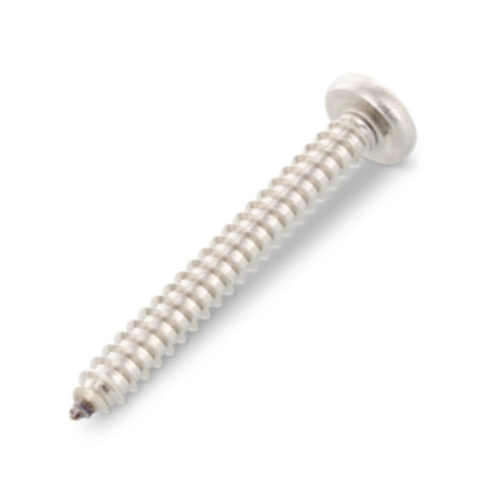 1 x Vis tôle Tête cylindrique bombée TCB 6.3X22 TORX T30 Inox A4