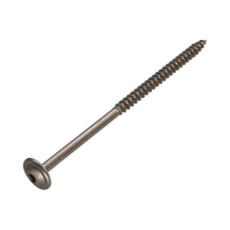 1 x Vis charpente tête disque Inox A2 5X100 Filetée sur 60 TORX T25 Diamètre de tête: 14