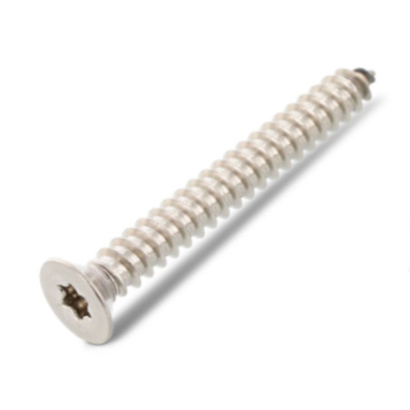 1 x Vis tôle Tête fraisée 3.9X28 TORX T15 Inox A4