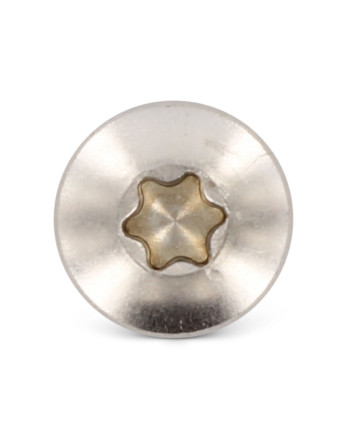 Vis tôle Tête cylindrique bombée TCB 5.5X13 TORX T25 Inox A4