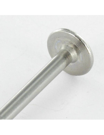 Vis charpente tête disque Inox A2 8X340 Filetée sur 80 TORX T40 Diamètre de tête: 20