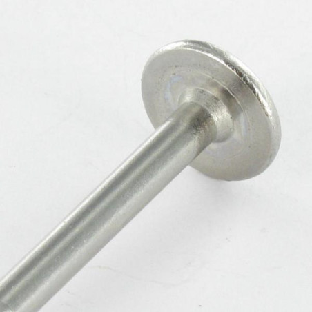 1 x Vis charpente tête disque Inox A2 4.5X20 TORX T20 Diamètre de tête: 13