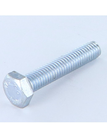 Vis métaux Tête hexagonale TH M8X15 Classe 8.8 Acier zingué