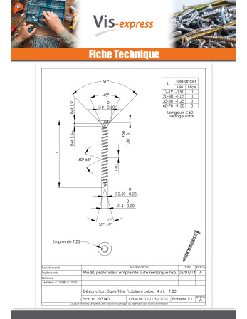 VBA Vis bois agglo Tête fraisée TORX T20 4X20 Acier zingué