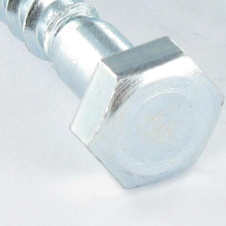 1 x Tirefonds 10X200 Forte tenue à la corrosion Acier galvanisé à chaud