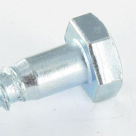 1 x Tirefonds 10X200 Forte tenue à la corrosion Acier galvanisé à chaud