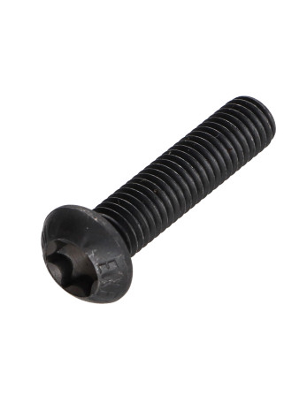 Vis métaux Tête bombée TORX T40 M8X30 Classe 10.9 Acier