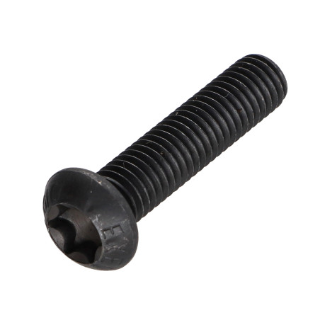 1 x Vis métaux Tête bombée TORX T40 M8X30 Classe 10.9 Acier