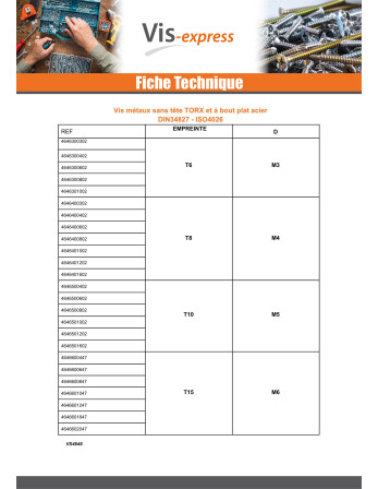 Vis métaux Sans tête Bout plat TORX T15 M6X12 Forte tenue à la corrosion Acier galvanisé à chaud