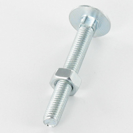 1 x Boulon (vendu avec Ecrou) TRCC JAPY tête ronde collet carré M12X160 Filetage total Acier zingué