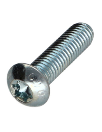 Vis métaux Tête bombée TORX T40 M8X35 Classe 10.9 Acier zingué