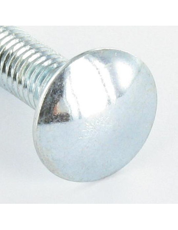 TRCC JAPY tête ronde collet carré M6X12 Collet bas 1.5 Diamètre de tête: 13.5 Acier zingué