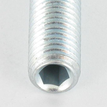 1 x Vis métaux Sans tête six pans creux (sthc) Clé de 4 HC4 M8X20 Bout cuvette Acier zingué