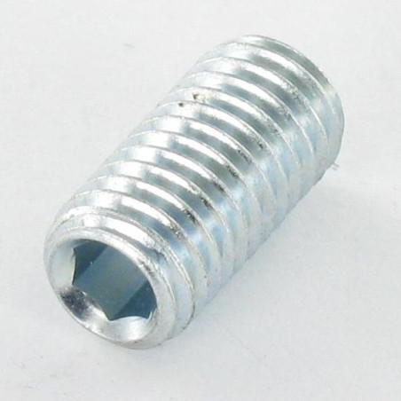 1 x Vis métaux Sans tête six pans creux (sthc) Clé de 2.5 HC2.5 M5X25 Bout plat Acier zingué
