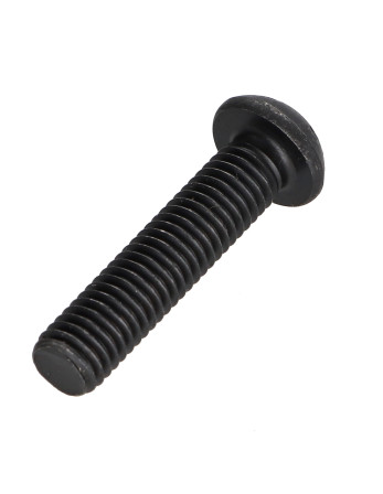 Vis métaux Tête bombée TORX T25 M5X35 Classe 10.9 Acier