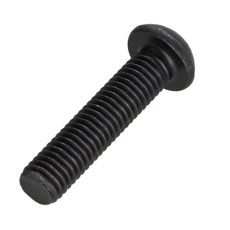 1 x Vis métaux Tête bombée TORX T25 M5X35 Classe 10.9 Acier