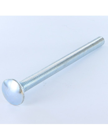 TRCC JAPY tête ronde collet carré M12X100 Filetage total Acier zingué
