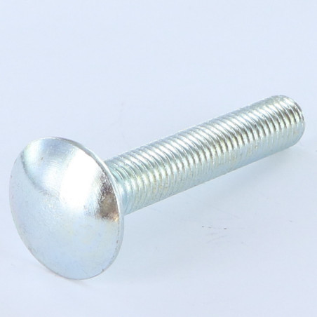 1 x TRCC JAPY tête ronde collet carré M12X40 Filetage total Acier zingué