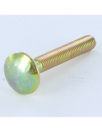 TRCC JAPY tête ronde collet carré M8X35 Filetage total Bichromaté
