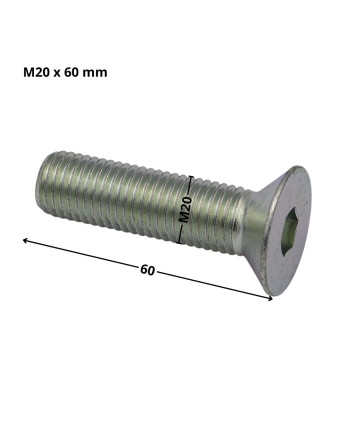 Vis métaux FHC tête fraisée empreinte hexagonale creuse Clé de 12 HC12 M20X60 Filetage total Classe 10.9 Acier