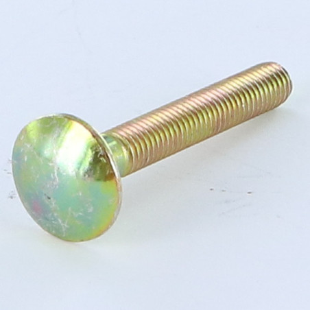 1 x TRCC JAPY tête ronde collet carré M5X35 Filetage total Bichromaté