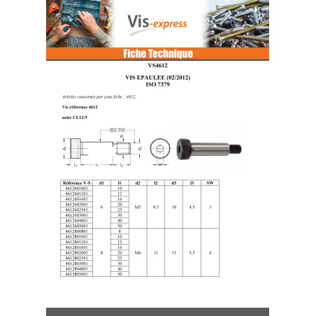 1 x Vis métaux Epaulé Clé de 8 HC8 M12/18 16X100 Classe 12.9 Acier brut