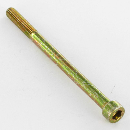 1 x Vis métaux CHC BTR M5X45 Filetée sur 22 Classe 8.8 Clé de 4 HC4 Bichromaté