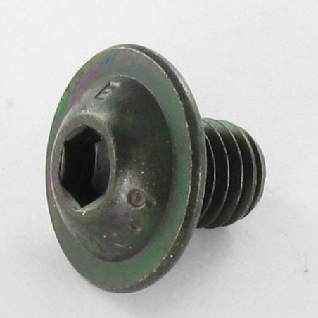 1 x Vis métaux BHC (Tête Bombée Hexagonal creux) Embase collerette M10X25 Clé de 6 HC6 Classe 10.9 Acier brut