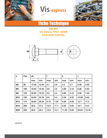 TRCC JAPY tête ronde collet carré M16X320 Filetage partiel Acier zingué