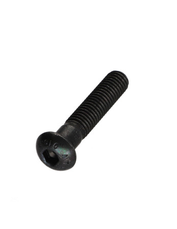 Vis métaux BHC (Tête Bombée Hexagonal creux) M8X40 Filetée sur 32 Classe 10.9 Clé de 5 HC5 Acier brut
