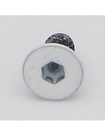 Vis métaux FHC tête fraisée empreinte hexagonale creuse M3X6 Filetage total Classe 10.9 Clé de 2 HC2 Acier brut