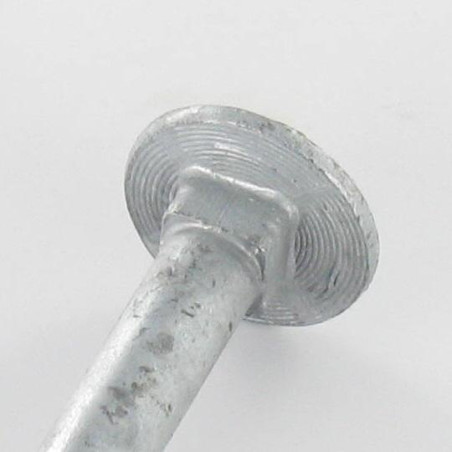 1 x Boulon (vendu avec Ecrou) TRCC JAPY tête ronde collet carré M16X180 Filetage partiel Forte tenue à la corrosion