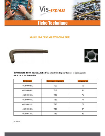 Clé Pour Vis Inviolable TORX T10 Acier zingué