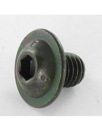 Vis métaux BHC (Tête Bombée Hexagonal creux) Embase collerette M4X8 Clé de 2.5 HC2.5 Classe 10.9 Acier brut