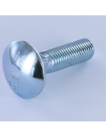 TRCC JAPY tête ronde collet carré M16X50 Filetage total Acier zingué