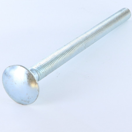 1 x TRCC JAPY tête ronde collet carré M12X120 Filetage total Acier zingué