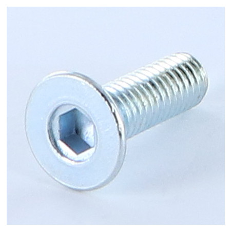 1 x Vis métaux FHC tête fraisée empreinte hexagonale creuse M6X20 Clé de 4 HC4 Acier zingué