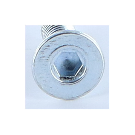 1 x Vis métaux FHC tête fraisée empreinte hexagonale creuse M6X20 Clé de 4 HC4 Acier zingué