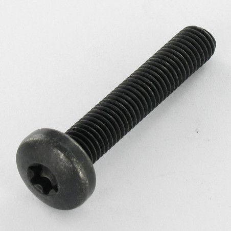 1 x Vis métaux Tête bombée TORX T40 M8X45 Classe 10.9 Acier brut zingué nickel noir 480 hbs sans rouille rouge - Noir