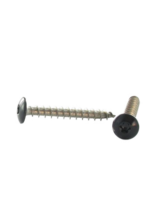 Vis Penture 6X50 Filetée sur 38 TORX T30 Inox A2 Laqué noir RAL9005 noir foncé