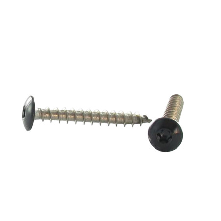 1 x Vis Penture 6X50 Filetée sur 38 TORX T30 Inox A2 Laqué noir RAL9005 noir foncé