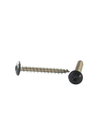 Vis Penture 6X25 Filetage total TORX T30 Inox A2 Laqué noir RAL9005 noir foncé