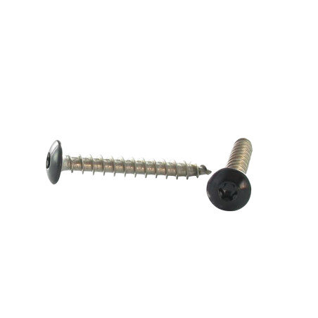1 x Vis Penture 6X25 Filetage total TORX T30 Inox A2 Laqué noir RAL9005 noir foncé