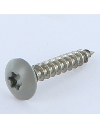 Vis Penture 6X35 Filetée sur 30 TORX T30 Inox A2 RAL7023