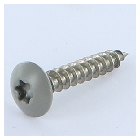 1 x Vis Penture 6X35 Filetée sur 30 TORX T30 Inox A2 RAL7023