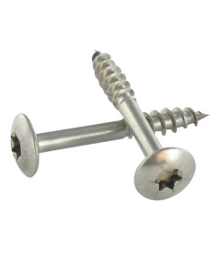 Vis Penture 7X50 Filetée sur 38 TORX T30 Inox A2