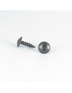 Vis Penture 6X40 Filetée sur 38 TORX T30 Inox A2 Noir
