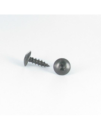 Vis Penture 6X40 Filetée sur 38 TORX T30 Inox A2 Noir