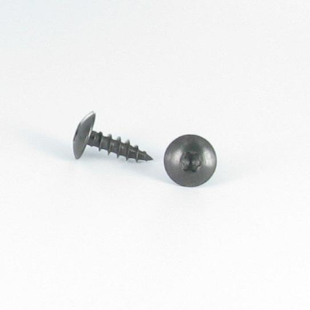 1 x Vis Penture 6X40 Filetée sur 38 TORX T30 Inox A2 Noir