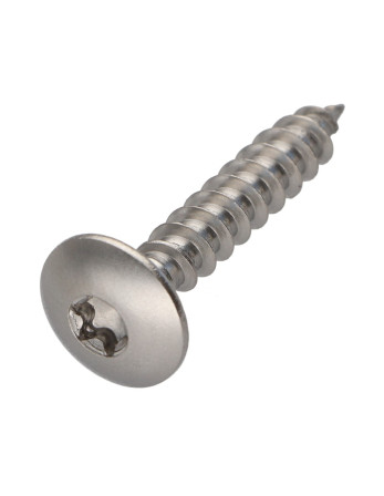 Vis Penture 7X60 Filetée sur 54 TORX T30 Inox A2